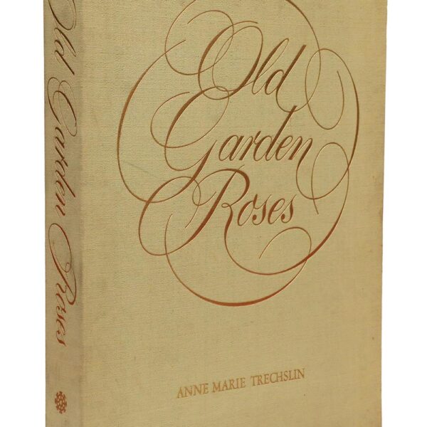 Old Garden Roses By Anne Marie Trechslin & Stelvio Coggiatti - Memoirs of India